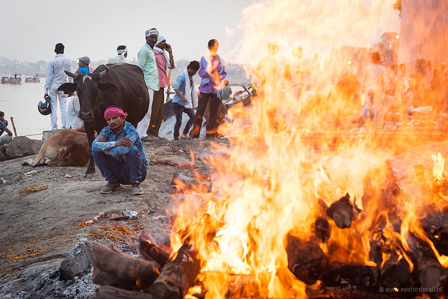 Robert van Sluis - fotografie